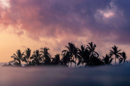 Floating in the ocean capturing palm tree silhouettes and sunrise reflections in Sayulita with vibrant purple clouds and water textures