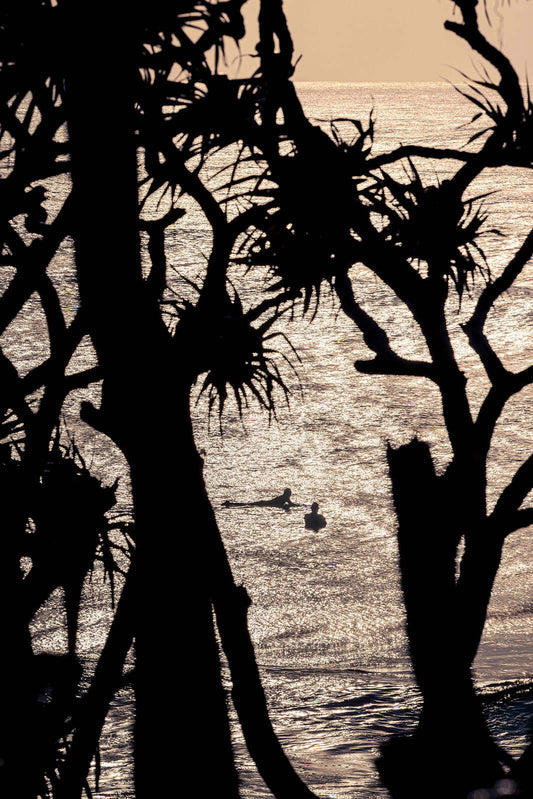 Australian coastal landscape featuring Cabarita Beach pandanus print with silhouetted palms and surfers on the shimmering ocean surface at sunrise.