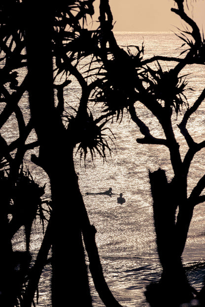 Australian coastal landscape print featuring tropical pandanus palms, golden sea sparkles, surfers at Cabarita Beach — surf art nature photography