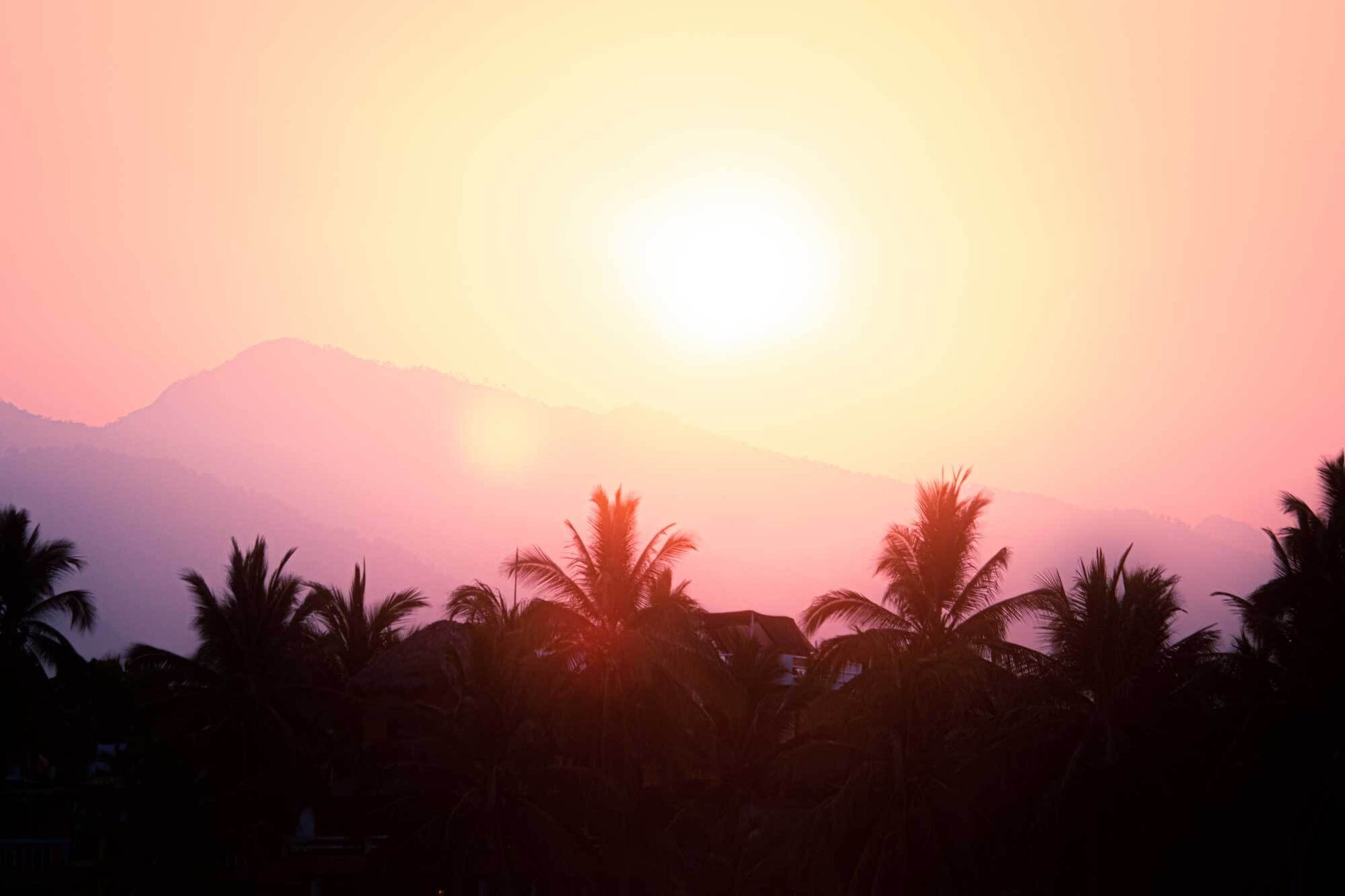 Image of vivid sunrise colours over silhouette of palms and faint shapes of mountains in La Saladita, Mexico
