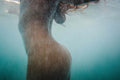 close up form of a underwater nude with bluewater textures 