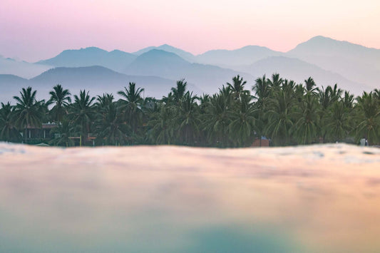 La Saladita sunrise art print capturing palm trees, mountains, and a pastel sky at dawn.